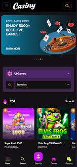 Discover the Thrills of Joe Fortune Casino Australia Your Ultimate Gaming Destination