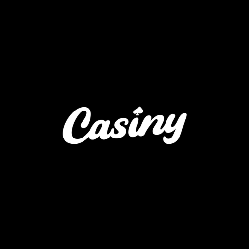 The Ultimate Guide to Casiny Login